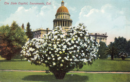 DB CA Postcard A468 State Capitol Sacramento California Garden Rieder Germany - $4.85