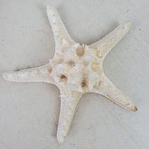 Vintage Seashell Starfish 6.5&quot; Sea Life - $20.57