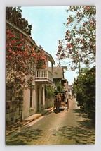 Horse and Carriage Street View St Augustine Florida FL UNP Chrome Postcard I17 - £2.28 GBP