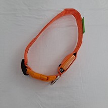 Dog Collar Light Up Rechargeable Orange S - £10.13 GBP