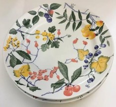 One Dinner Plate Crate &amp; Barrel -Made In Italy 11”D - £11.83 GBP
