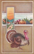 Cordial Thanksgiaving Greetings Turkey 1910 Great Bend Kansas Postcard E09 - $8.99