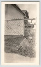 Dog in Fence-In Yard House Building Black &amp; White Snapshot Photo Picture ph815 - £7.86 GBP
