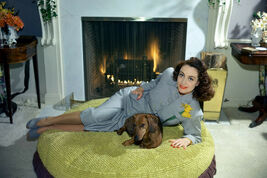 Item image 1 image 1