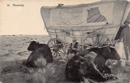 Oregon Trail ~ Ezra Meeker-Oxen Wagon-Nooning ~1910 Postcard-
show original t... - £7.57 GBP