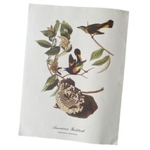VINTAGE 1960s Audubon American Redstart by Roger Tory Peterson 9x12 Litho Print - £11.39 GBP
