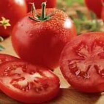 Celebrity Tomato Seeds (F1 Hybrid) 10 Seeds Non-GMO - £9.04 GBP