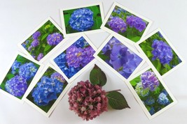 Set of 9 Hydrangea Floral Photo Greeting Cards, Blank Inside, 5X7, Great Gift! - £17.54 GBP