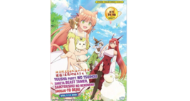 DVD Anime Yuusha Party Wo Tsuihou .. TV Series (1-13 End) English Dub All Region - £23.04 GBP