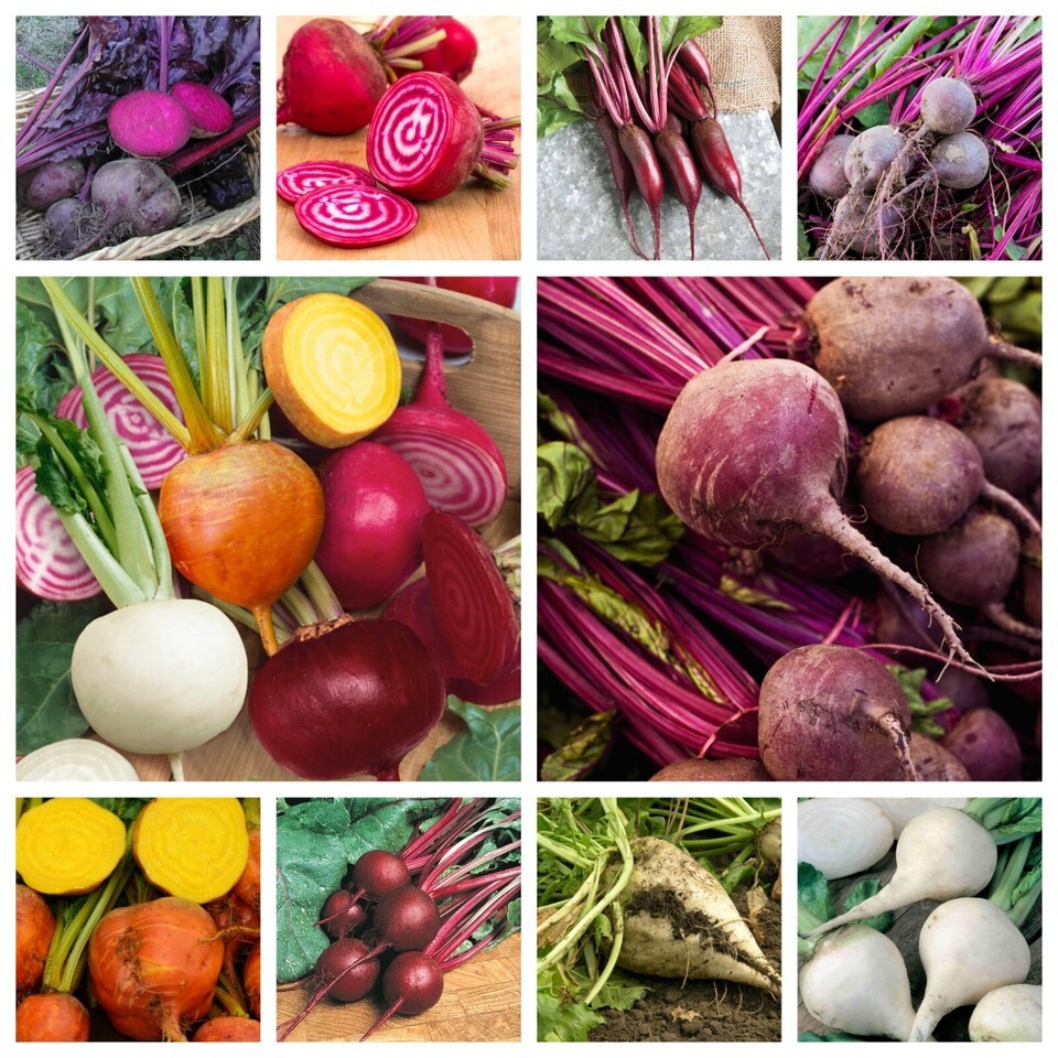 Beet Seeds Collection, NON-GMO, 10 Varieties to Choose From, FREE SHIPPING - $1.67+