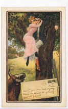 Postcard Bull Chasing Couple Up A Tree ? Old Fashioned Love Reproduction - $2.89