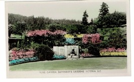 Rose Garden Butchart Gardens Victoria BC Canada RPPC hand painted postca... - £3.87 GBP