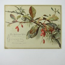 Victorian Birthday Greeting Card Red Barberry Branch Raphael Tuck &amp; Sons... - £7.83 GBP