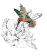 Nature&#39;s Bounty Secret Garden Peony and Hummingbird Embroidery Iron On/S... - $27.21 CAD