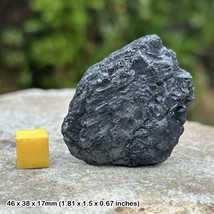 Bituminous coal - uk education sedimentary rock, authentic, uk seller - $10.20