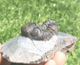 Item image 13