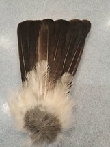 Eurasian Blue Jay Bird Full Tail Feathers JB22 - £11.66 GBP