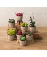 Set of 8 Colorful Realistic Artificial Botanica Flowering Succulents In ... - €45,23 EUR