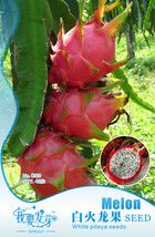 Pitaya White Sweet Dragon Fruit Seeds From Hainan China Garden Beautiful Usa Sel - $9.97