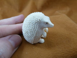 Hed-w9 little white Hedgehog shed moose ANTLER figurine Bali detailed ca... - $138.14