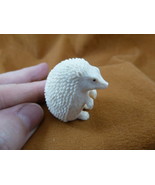 Hed-w9 little white Hedgehog shed moose ANTLER figurine Bali detailed ca... - £108.62 GBP