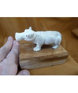 (hip-w21) little Hippo of shed ANTLER figurine Bali detailed love wild h... - $143.98