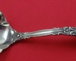 Renaissance by Dominick and Haff Sterling Silver Sauce Ladle 5 1/4&quot; Serving - $127.71