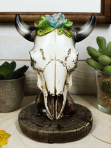 Southwest Aged Bone Bull Cow Steer Head Skull With Floral Succulents Sculpture - £15.17 GBP