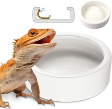Reptile Food Bowl Dish - Worm Dish Reptile Water Bowl Lizard Gecko Ceram... - $21.67