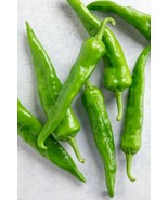 Hatch Sandia Chili Pepper Seeds, NuMex, Hot Green Chile, Ristra, FREE SH... - £1.31 GBP+
