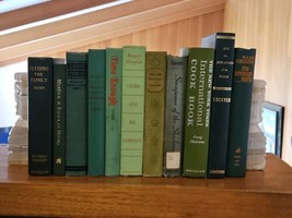 Vintage Book Lot of 11 Instant Library Staging Decor Green Bookshelf Display FUN - £36.26 GBP
