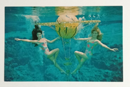 Weeki Wachee Spring of Mermaids Florida Attraction Koppel Cards Postcard 1968 - £7.97 GBP