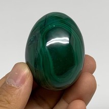 121.7g, 1.9&quot;x1.4&quot;, Natural Solid Malachite Egg Polished Gemstone @Congo, B32774 - £74.81 GBP