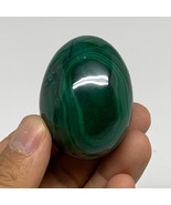121.7g, 1.9&quot;x1.4&quot;, Natural Solid Malachite Egg Polished Gemstone @Congo,... - £73.59 GBP