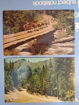 Lot Of 2 Vtg Postcards Packing And Horseback Riding, Trinity County, California - £3.94 GBP