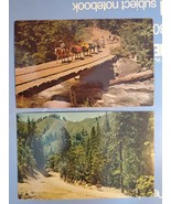 Lot Of 2 Vtg Postcards Packing And Horseback Riding, Trinity County, Cal... - £3.90 GBP