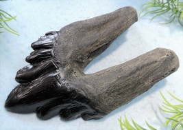 4 INCH LONG ARCHAEOCETE EXTINCT WHALE TOOTH REPLICA FOSSIL RELIC TEETH L... - $24.70
