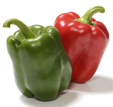 50 California Wonder Bell Sweet Pepper Vegetable Seeds - £14.16 GBP