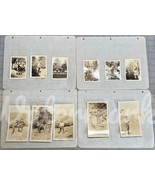 Mining Photos 1920s Shasta County CA Hans Lundberg Electrical Prospect S... - $8,109.64 MXN
