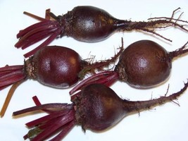 Beet Detroit Dark Red 163 Seeds Gardening Usa Shipping - £5.96 GBP