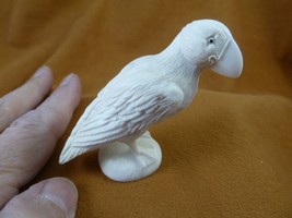 (Puff-w3) little Puffin shed ANTLER figurine Bali detailed puffling bird - $3,359.47 MXN