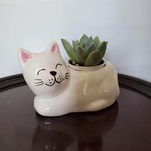 Cat Animal Planter with Succulent, live house plant in ceramic white Kitten Pot image 4