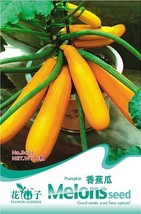 AQL Yellow Zucchini Summer Squash Cucurbita Pepo Vegetable Seeds - £5.97 GBP