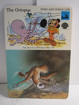 1978 Walt Disney&#39;s Fun &amp; Facts Flashcard DFF12-14: The Octopus - £1.49 GBP