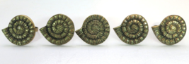 Vintage Brass Spiral Shell Design Napkin Rings Bundle - £14.18 GBP