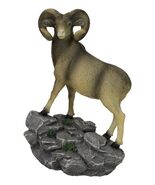 Wildlife Animal Taxidermy Bighorn Sheep Ram Standing On Rocky Steppes Fi... - $566.21 MXN