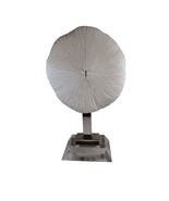 Large 12&quot; Mushroom Coral Real Display Piece n Acrylic Base Beach Nautica... - £147.74 GBP