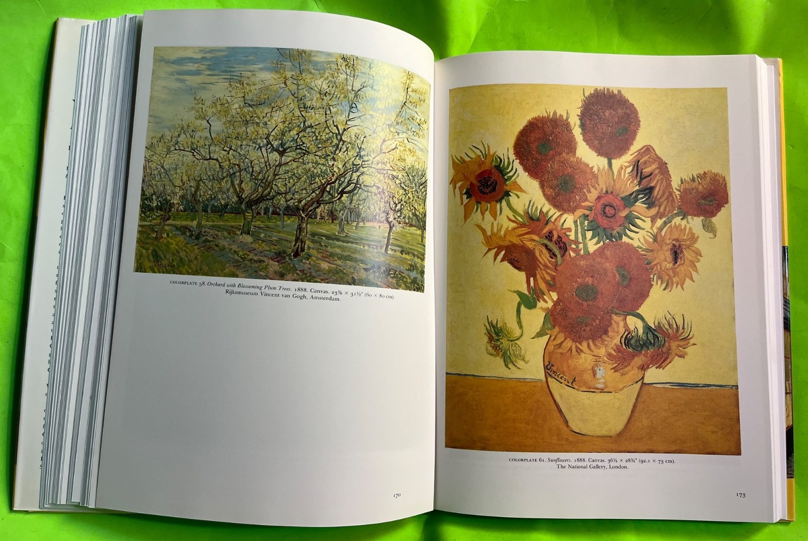 Vtg Van Gogh: A Retrospective by Susan Alyson Stein (HCDJ 1986) Item image 10