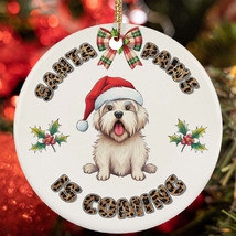 Funny Santa Paws Coton De Tulear Dog Lover Christmas Ornament Gift Decor Hanging - £12.20 GBP