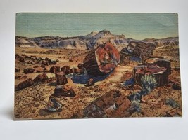 Petrified Forest Arizona Holbrook Desert Rock Formations Linen Historic Postcard - £7.57 GBP